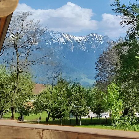 Ara Chalet Bran  Zewnętrze zdjęcie