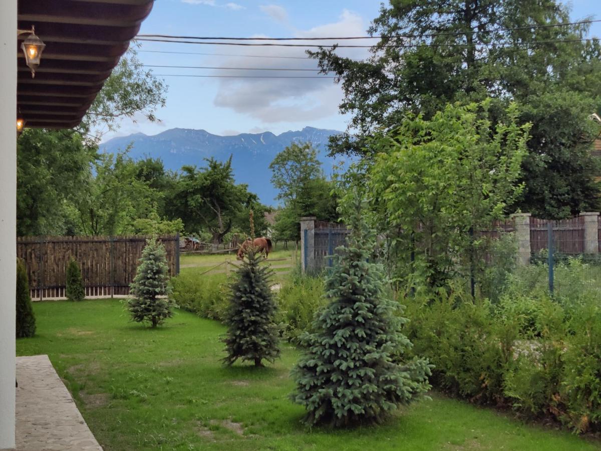 Ara Chalet Bran  Zewnętrze zdjęcie