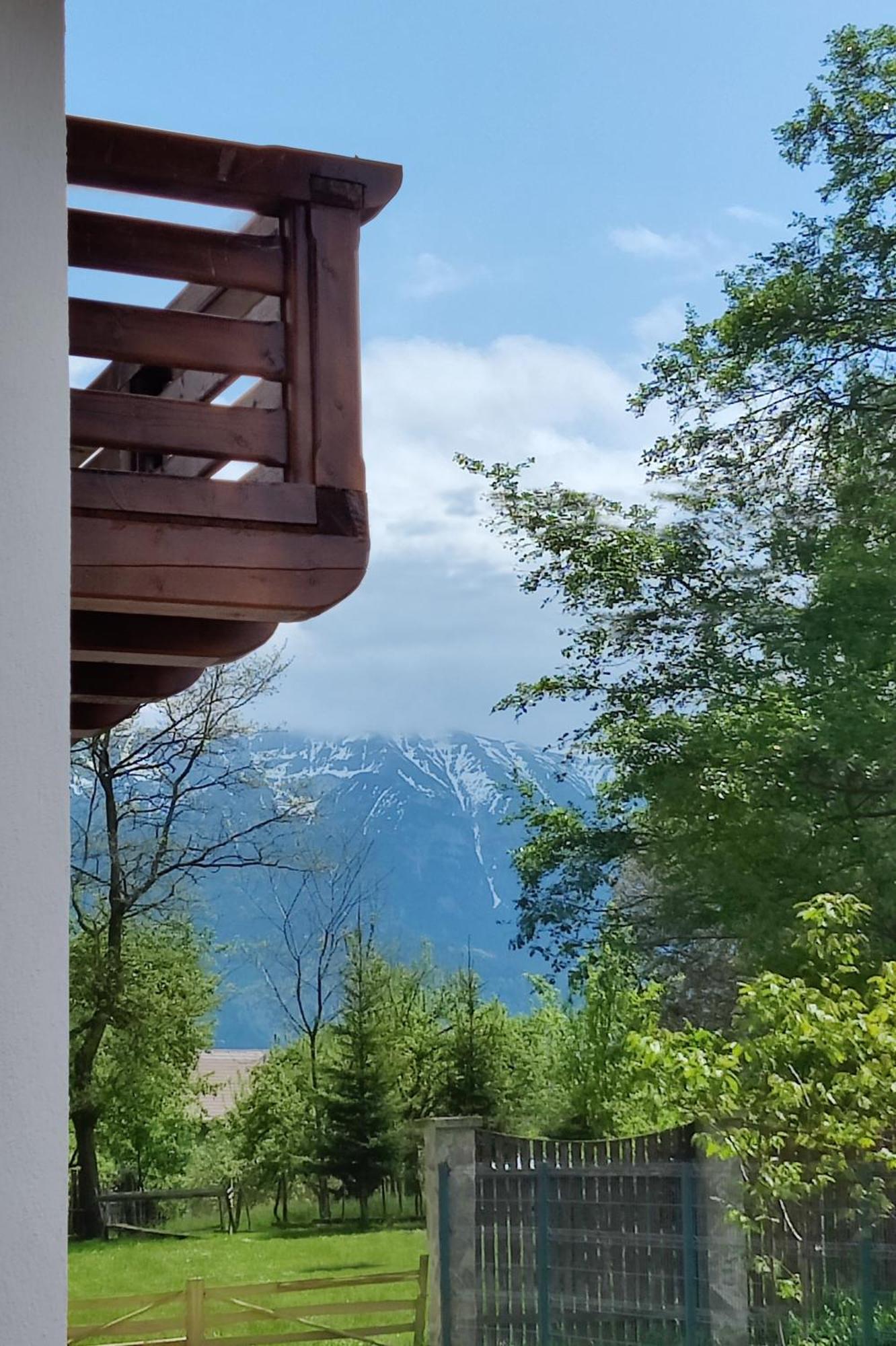 Ara Chalet Bran  Zewnętrze zdjęcie