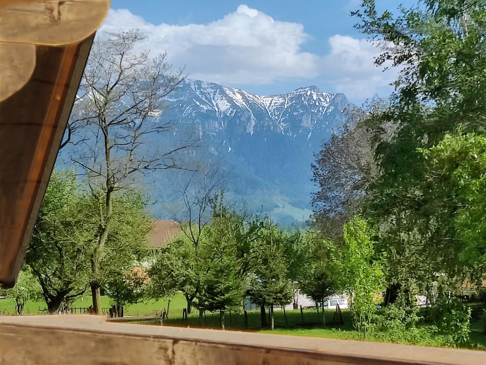 Ara Chalet Bran  Zewnętrze zdjęcie